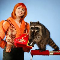 Выступление дрессированных животных на праздник и День Рождения