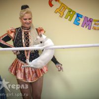 Выступление дрессированных животных на праздник и День Рождения