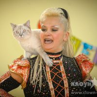 Выступление дрессированных животных на праздник и День Рождения